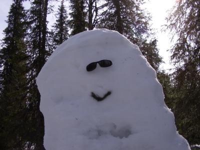 Schneemasse auf dem Baum mit guter Laune